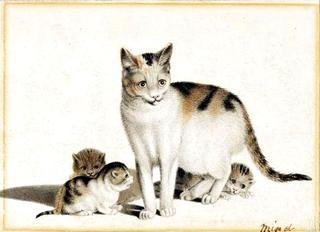 Cat and Kittens