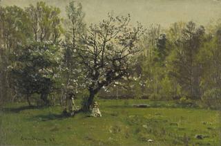 Climbing the Apple Tree