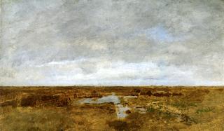 Imminent Storm