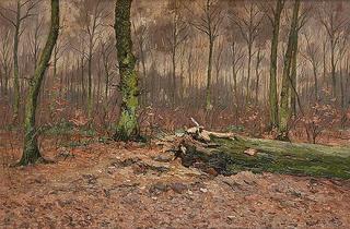 Forest View
