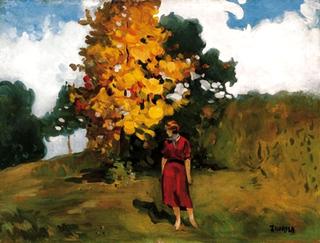 Autumn in Baia-Mare