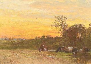 Cows in Pasture