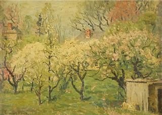 Spring Fields