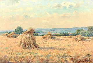 The Hay Shocks