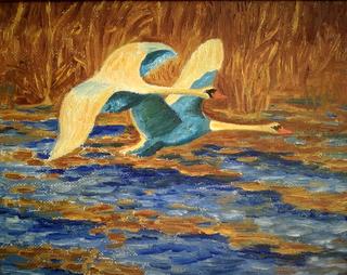 Swans