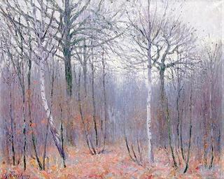 Autumn in the Forest