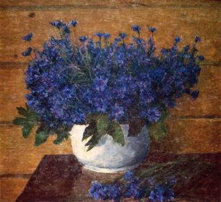 Cornflowers. June