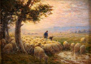 Flock of sheep on a summer day