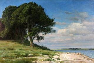 Beach, Bramsnaesvig