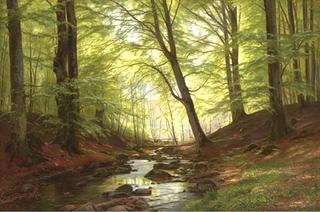 A Stream in a Forest