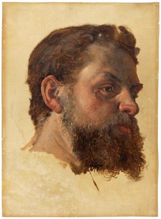 A Bearded Man. Study