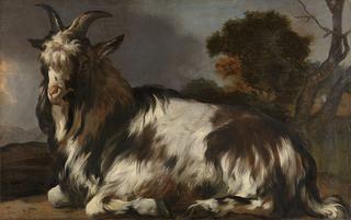A Lying Goat