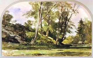 Trees near Bristol