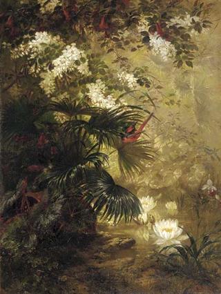 Tropical Paradise