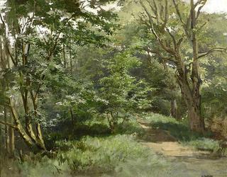 A Forest Clearing