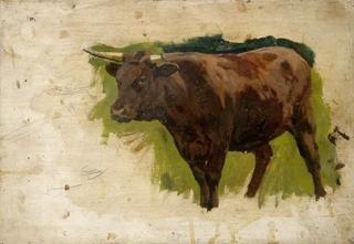 Brown Bull: Cow Looking Left