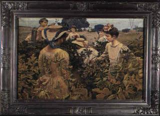 Picking Blackberries
