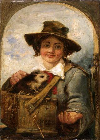 意大利男孩和一只豚鼠