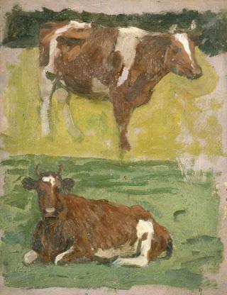 Cows in a Field