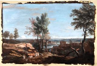 Extensive Pastoral Landscape