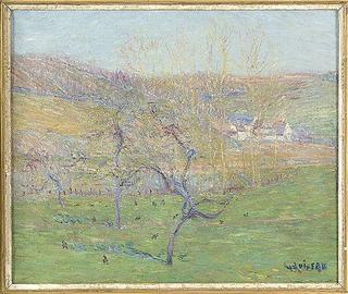 Orchard in Sunlight