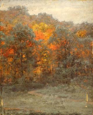 Autumn Woods, Rockville, Maryland
