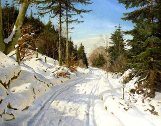 A snowy track through the forest