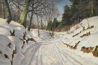 A snowy forest road