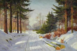 Winterscape from the Hareskov