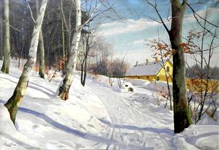 A snow covered road with house