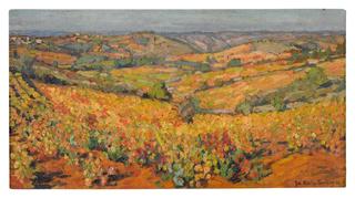 Vineyards at Cahors