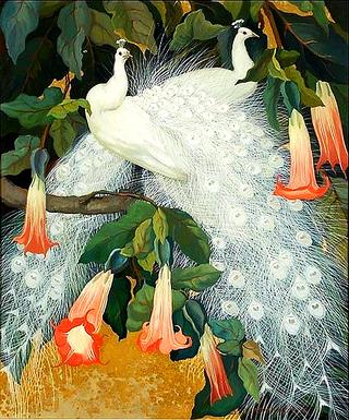 White Peacocks in Angel’s Trumpets