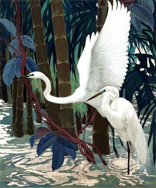 Egrets