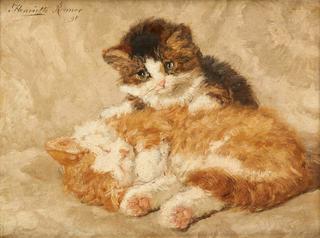 chatons