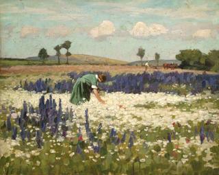 Woman Picking Flowers