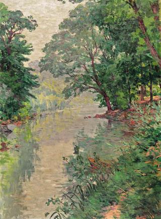 Creek in Forest