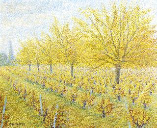 Vineyard in Vidaubon