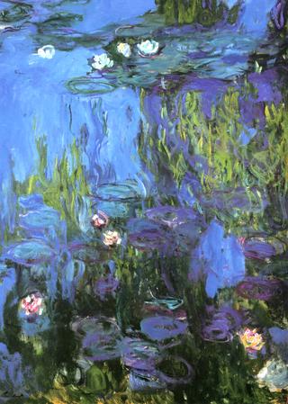 Water-Lilies