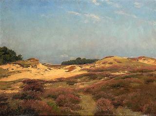 Sunshine on the Heath
