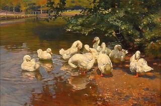 Family of Ducks by Pond