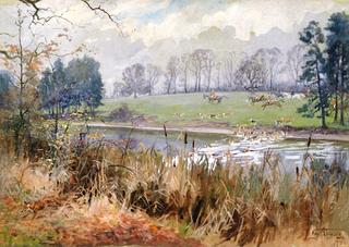 A Fox Excaping across a River