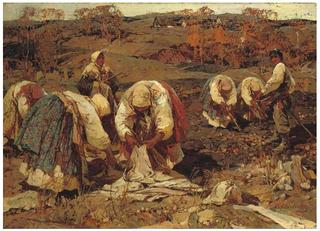 The Potato Harvest in Belorussia
