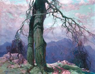 Lone Tree on Mountain