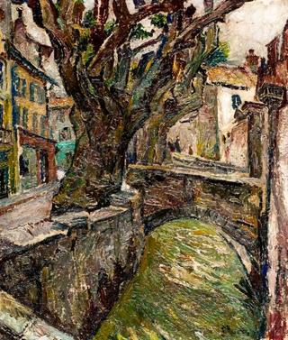 Platanes en Provence
