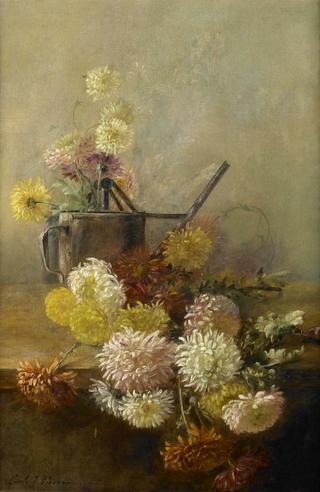 Chrysanthemums