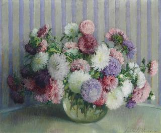 Asters