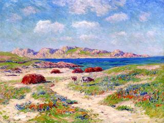 The Dunes of Argenton, Finistère