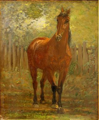 The Horse