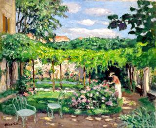Garden in Spring