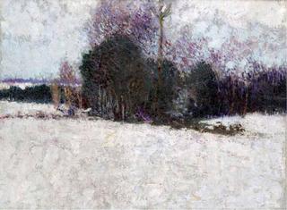Snowy Landscape